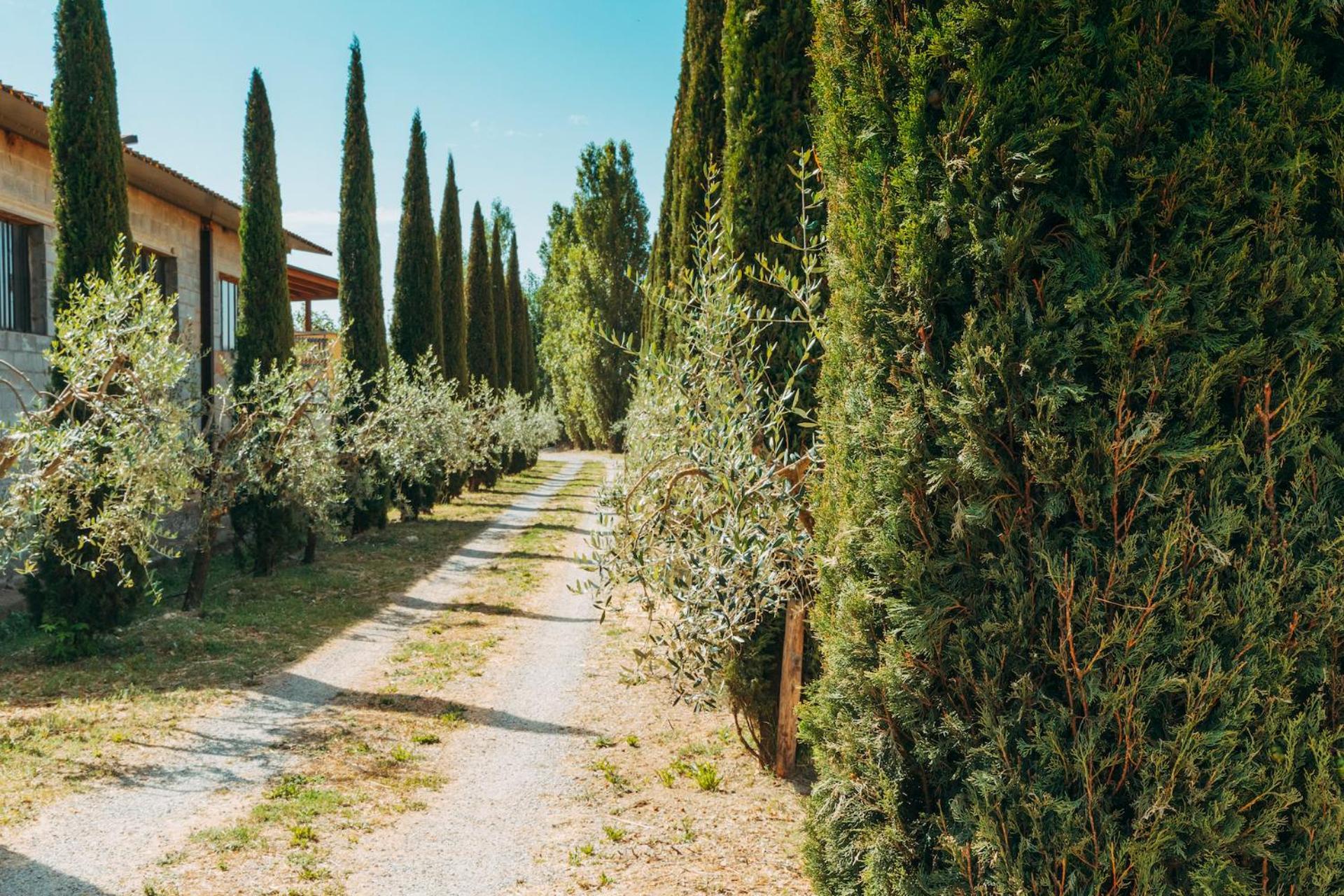 Agriturismo Il Borgo Cortona Exterior foto